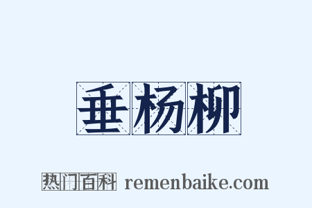 垂杨柳是什么意思的图片